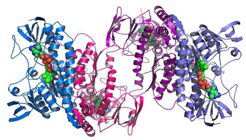 生物科技研发:推动生命科学革命的力量